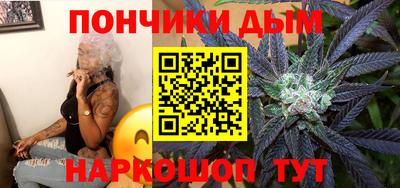шишки Заволжье