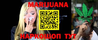 шишки Заволжье