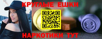 стаф Жуковский